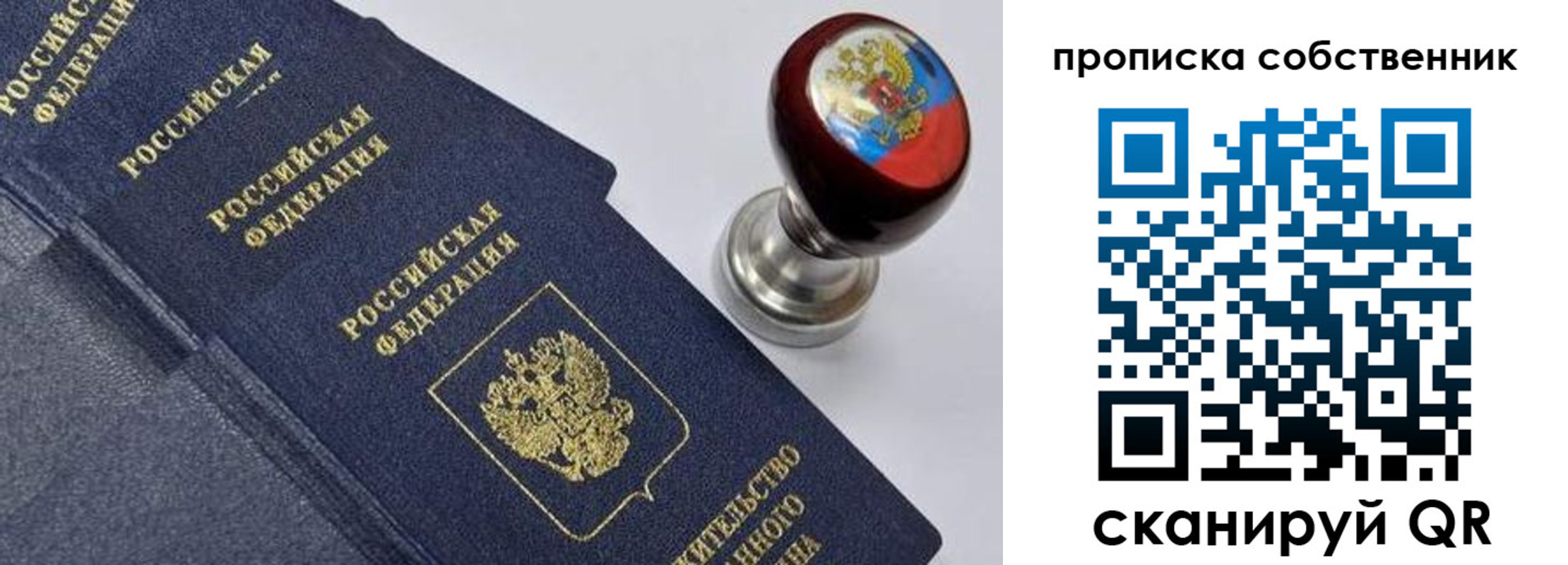 где прописаться в Дорогобуже
